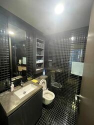 Skysuites@Anson (D2), Apartment #492723921